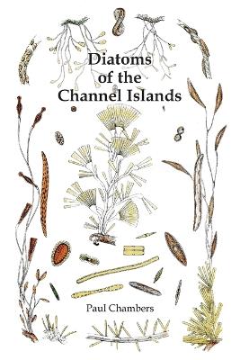Diatoms of the Channel Islands - Paul Chambers - cover