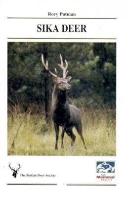 Sika Deer - Rory Putman - cover