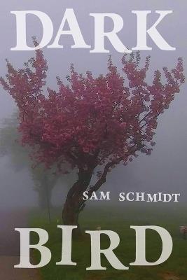 Dark Bird - Sam Schmidt - cover