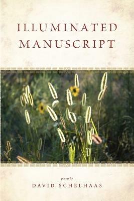 Illuminated Manuscript - David Schelhaas - cover