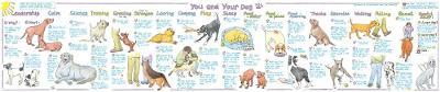 You and Your Dog - cover