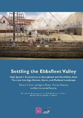 Settling the Ebbsfleet Valley vol 3 - Catherine Barnett,Jessica M. Grimm,Jacqueline I. McKinley - cover