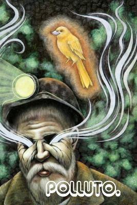 Polluto 5: A Steampunk Orange - cover