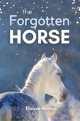 The Forgotten Horse: Book 1 in the Connemara Horse Adventure Series for Kids. The perfect gift for children age 8-12. - Elaine Heney - cover
