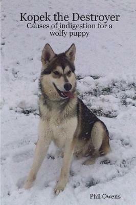 Kopek the Destroyer - Phil Owens - cover