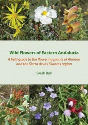Wild Flowers of Eastern Andalucia: A Field Guide to the Flowering Plants of Almeria and the Sierra De Los Filabres Region - Sarah Ball - cover