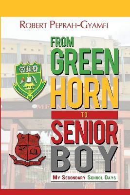 From Greenhorn to Senior Boy My Secondary School Days - Robert Peprah-Gyamfi - cover