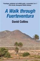 A Walk Through Fuerteventura - David Collins - cover