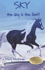 Sky: the sky's the Limit