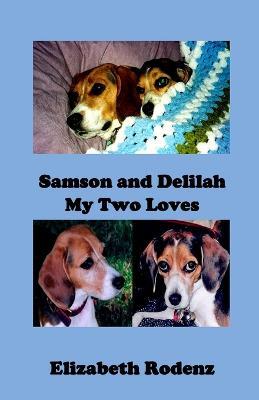 Samson and Delilah - Rodenz - cover