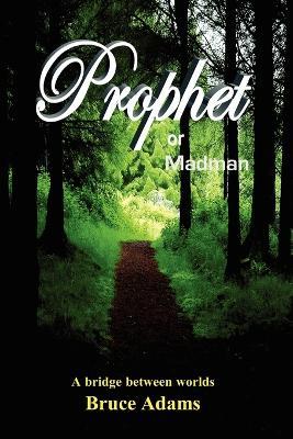 Prophet or Madman - Bruce Adams - cover