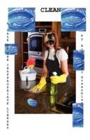 Clean, a Tale of the Inappropriate Library - Kim Isaac Greenblatt - cover