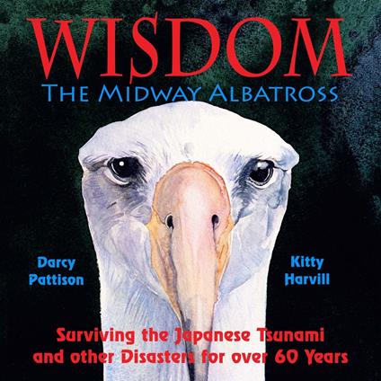 Wisdom, the Midway Albatross - Darcy Pattison - ebook