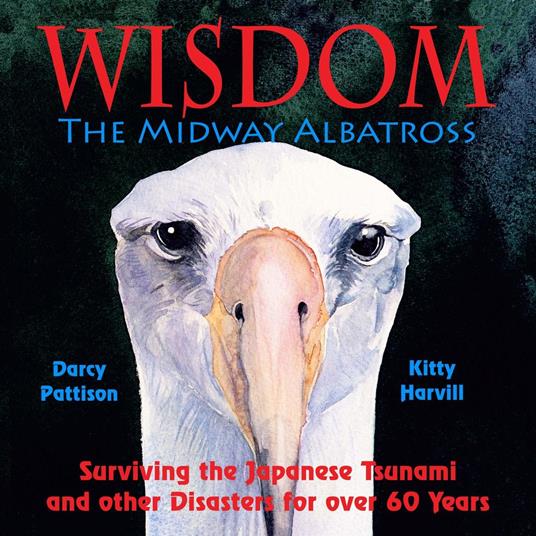 Wisdom, the Midway Albatross - Darcy Pattison - ebook