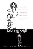 Knocked Up, Knocked Down: Postcards of Miscarriage and Other Misadventures from the Brink of Parenthood - Monica Murphy LeMoine - cover