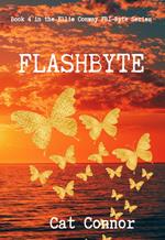 Flashbyte