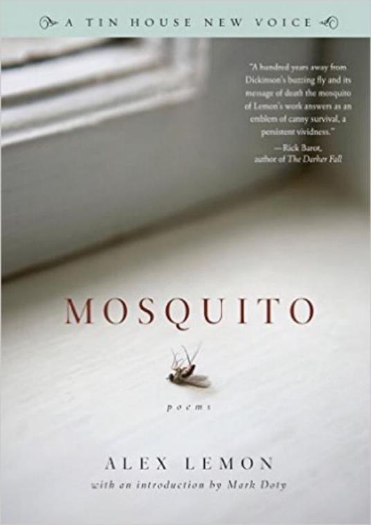Mosquito