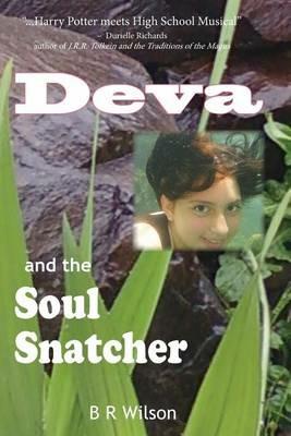 Deva and the Soul Snatcher: a time-travel fantasy - Barbara Rogers Wilson - cover