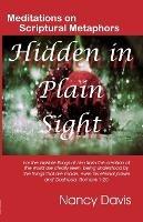 Hidden in Plain Sight - Nancy Davis - cover