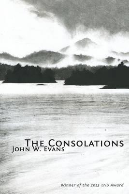 The Consolations - John W Evans - cover