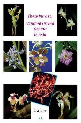 Photo Intro to: Vandoid Orchid Genera in Asia - Rod Rice - cover