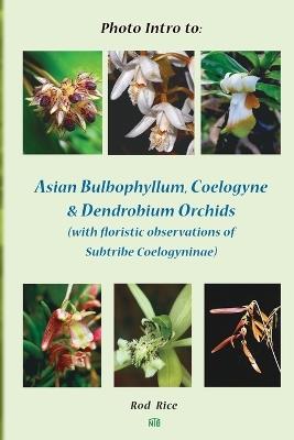 Photo Intro to: Asian Bulbophyllum, Coelogyne & Dendrobium Orchids (with floristic observations of Subtribe Coelogyninae) - Rod Rice - cover