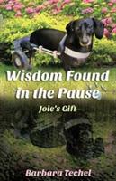 Wisdom Found in the Pause: Joie's Gift - Barbara Techel - cover