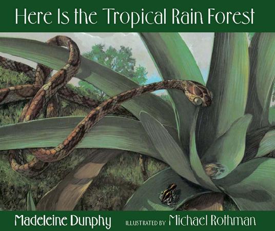Here Is the Tropical Rain Forest - Madeleine Dunphy,Michael Rothman - ebook