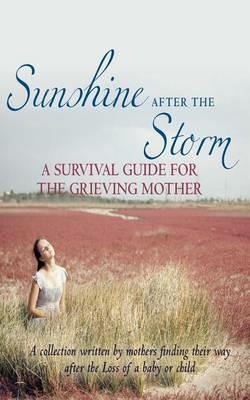 Sunshine After the Storm: A Survival Guide for the Grieving Mother - Alexa H Bigwarfe - cover