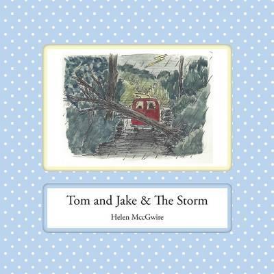 Tom and Jake & the Storm - Helen MccGwire - cover