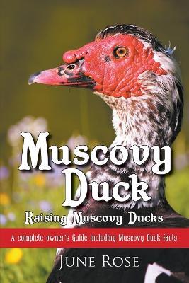 Muscovy Duck: Raising Muscovy Ducks - June Rose - cover