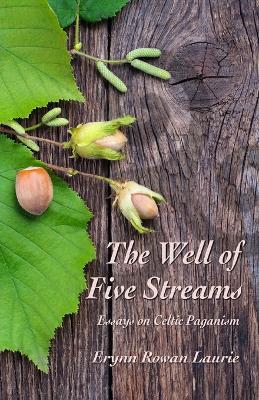 The Well of Five Streams: Essays on Celtic Paganism - Erynn Rowan Laurie - cover