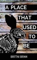 A Place That Used to Be