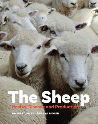 The Sheep: Health, Disease and Production - Dave West,Neil Bruere,Anne Ridler - cover