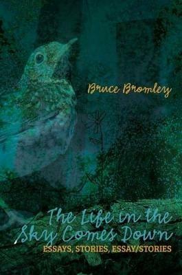 The Life in the Sky Comes Down: Essays, Stories, Essay/Story - Bruce D Bromley - cover