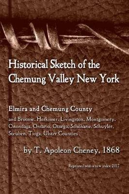 Historical Sketch of the Chemung Valley, New York: Elmira and Chemung County, and Broome, Herkimer, Livingston, Montgomery, Onondaga, Ontario, Otsego, Schoharie, Schuyler, Steuben, Tioga, Ulster Counties - T Apoleon Cheney - cover