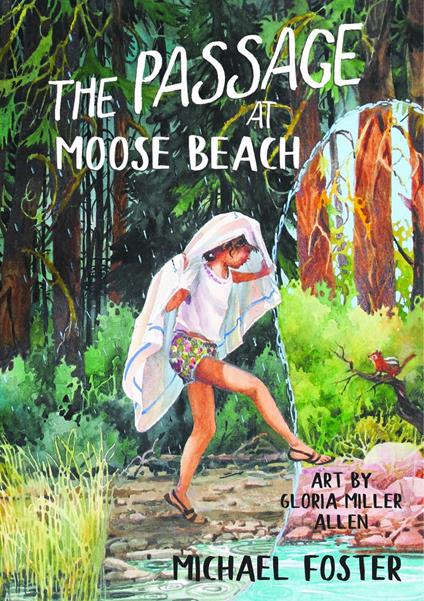 The Passage At Moose Beach - Michael Foster - ebook