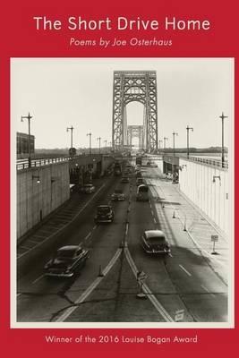 The Short Drive Home - Joe Osterhaus - cover