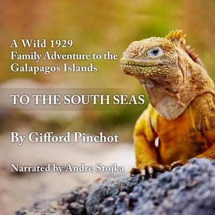 To the South Seas