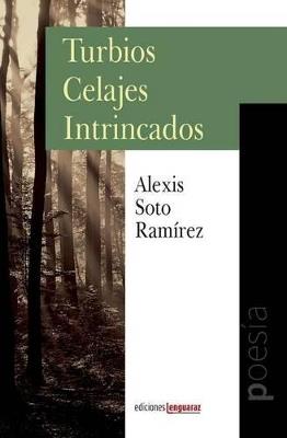 Turbios Celajes Intrincados - Alexis Soto Ramirez - cover