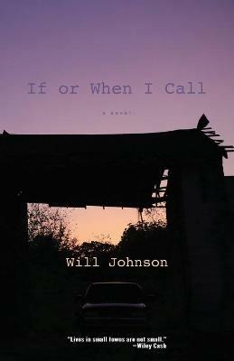 If or When I Call - Will Johnson - cover