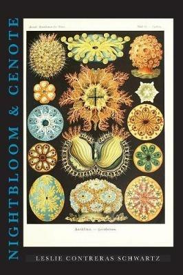 Nightbloom & Cenote - Leslie Contreras Schwartz - cover
