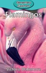 Flamingos