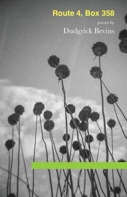 Route 4, Box 358 - Dudgrick Bevins - cover