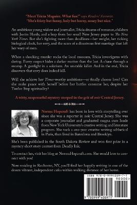 Envy Kills - Norma Hopcraft - cover