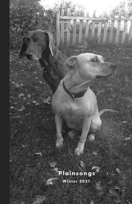 Plainsongs 41.1 - cover