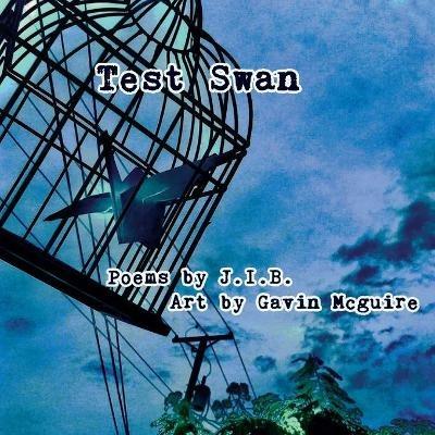 Test Swan - J I B - cover