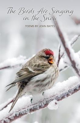 The Birds Are Singing In The Snow - John M Bates - cover