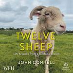 Twelve Sheep