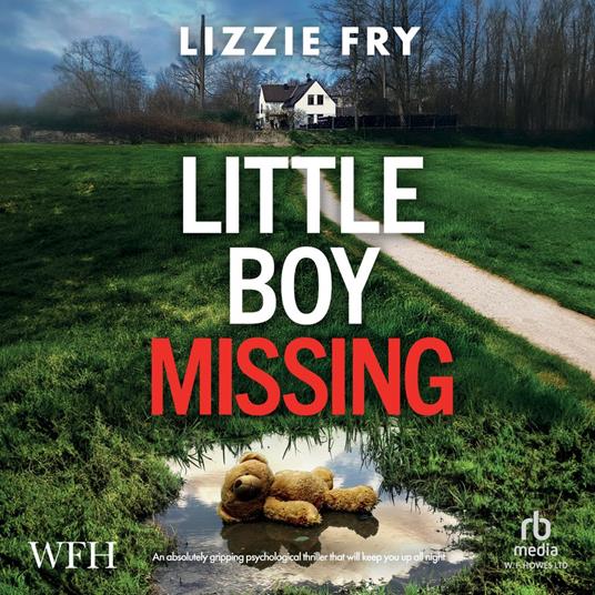 Little Boy Missing